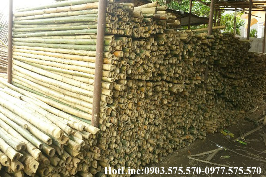 Cung cấp cọc tre uy tín tại đà nẵng